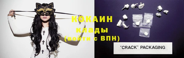 ECSTASY Алзамай