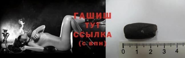 хмурый Пересвет