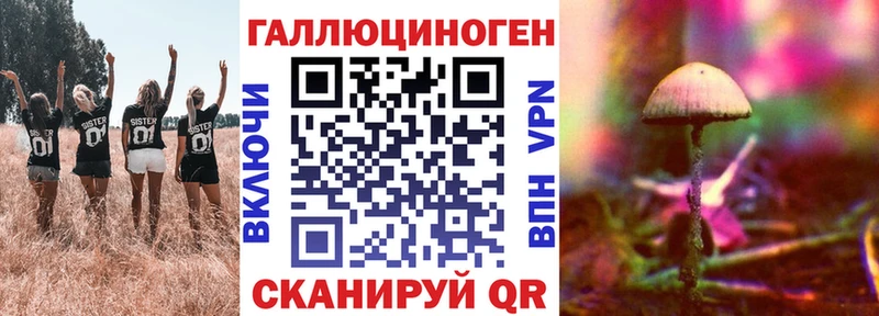 продажа наркотиков  omg сайт  Галлюциногенные грибы Magic Shrooms  Балашиха 